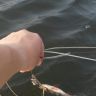 20160723_175411.jpg