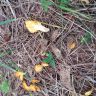 20160828_110746.jpg