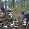 SDC10087.JPG