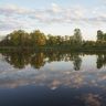 DSC01059.JPG