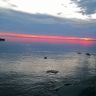 WP_20150708_002.jpg