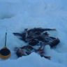 DSC01056.JPG
