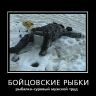 e96a7ce11b8fec29284d5c1b08f7f73.jpg
