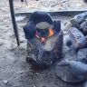 DSC02576.JPG
