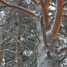 IMG_8845.JPG
