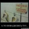 1316929051_a-to-povadilis-tut..jpg