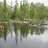IMG_0905.JPG