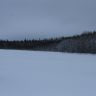 IMG_8914.JPG