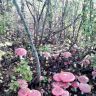 DSC01423.JPG