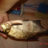 DSC09505.JPG