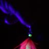 IMG_20200215_113258.jpg