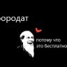 1375069175_1051777095.jpg