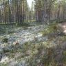 DSC02948.JPG
