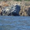 DSC00095.JPG