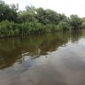 DSC01781.JPG