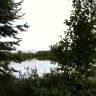IMG_1515.jpg