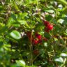 DSC_0121.jpg