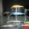 DSC00362.JPG