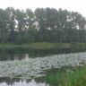 26072011243.jpg