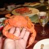 DSC09834.JPG