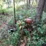 DSC03045.JPG
