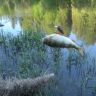 DSCN5738.JPG