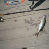 DSCN4305.JPG