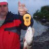 DSC02764.JPG