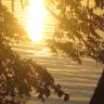 IMG_5262.JPG