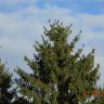 DSC01780.JPG