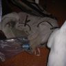 DSCN2495.JPG