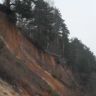 SDC12041.jpg
