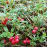 photo_00440.jpg