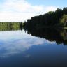 IMG_2252.jpg