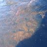 DSC03683.JPG