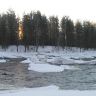 IMG_8956.JPG