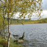IMG_0992.JPG