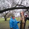 DSC00247.JPG
