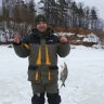  25.02.2015