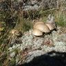 DSC03695.JPG