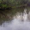 DSC00055.JPG