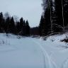 DSC_0030.jpg