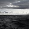 SDC10098.JPG