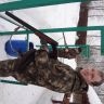 DSC02388.JPG