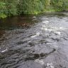 DSC02933.JPG