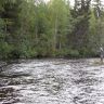 DSC03034.JPG