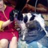 IMG_20130318_172245.jpg