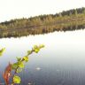8. 20160529_203743.jpg