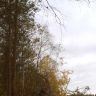 2IMG-20171003-WA0005.jpg