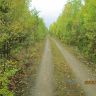 IMG_0079.JPG
